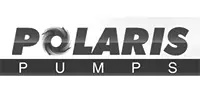 Polaris Pumps logo with the word POLARIS above and PUMPS below; the O in POLARIS is depicted as a circular swirl graphic.
